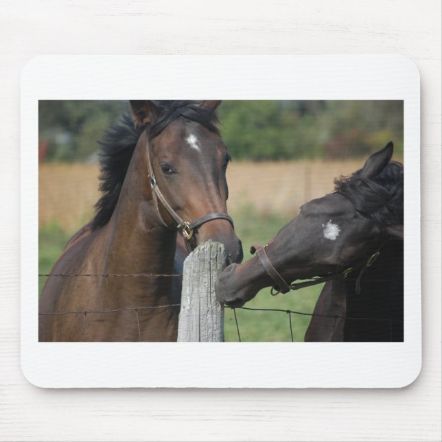 Tapis De Souris 2 Chevaux mâcher une clôture (Devant)