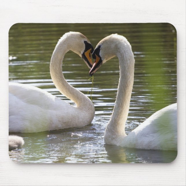 Tapis De Souris 2 cygnes sur l'eau (Devant)