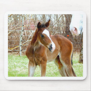 TAPIS DE SOURIS 2CUT HORSE FOAL BÉBÉ PONY