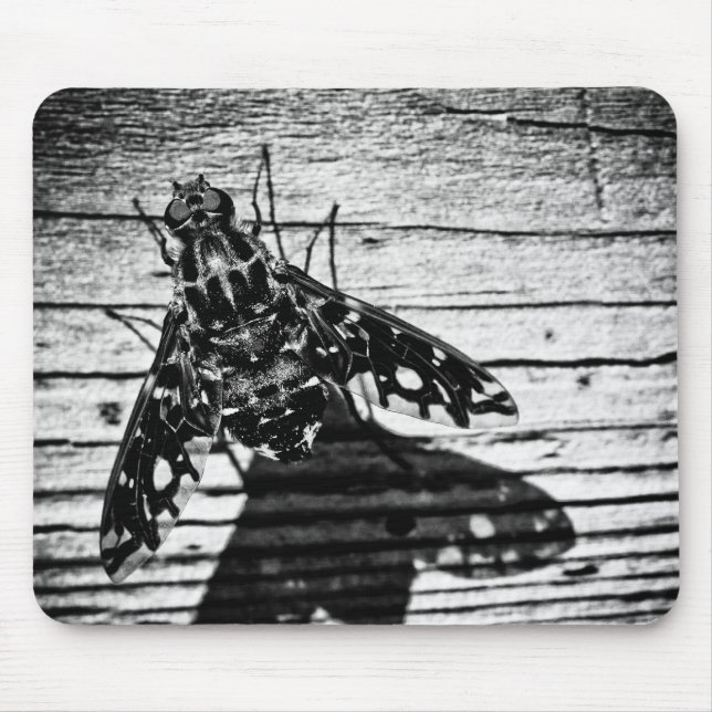 TAPIS DE SOURIS 3 (Devant)