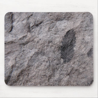 Tapis De Souris 350 Millions D'Yr. Imprimer photo fossile vieux Pl