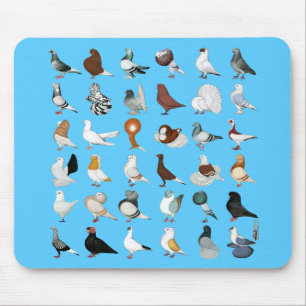Tapis De Souris 36 races de pigeons