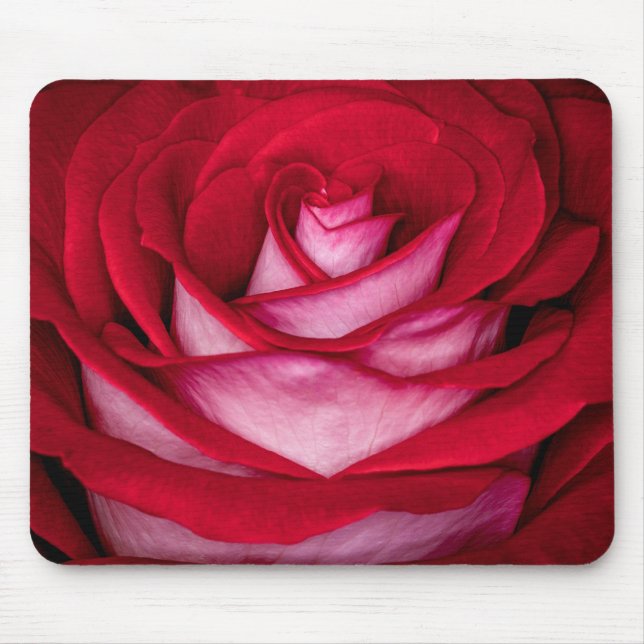 Tapis De Souris 6621-Rose rouge, blanche et rose (Devant)