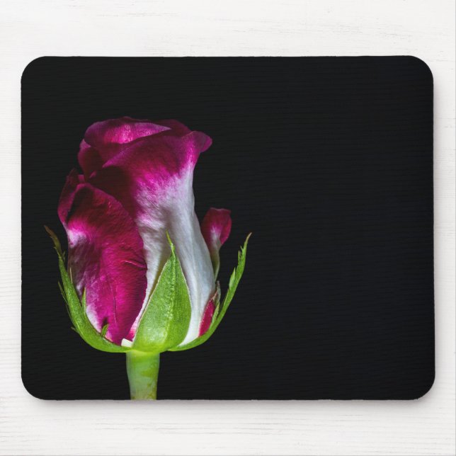 Tapis De Souris 7019-Rose blanche pointue rouge (Devant)