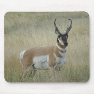 Tapis De Souris A8 Pronghorn Antelope Big Buck