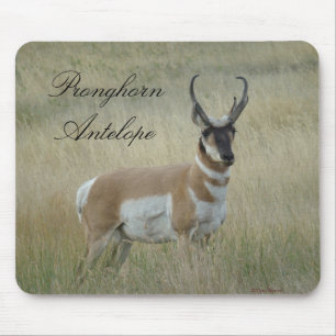 Tapis De Souris A8 Pronghorn Antelope Big Buck