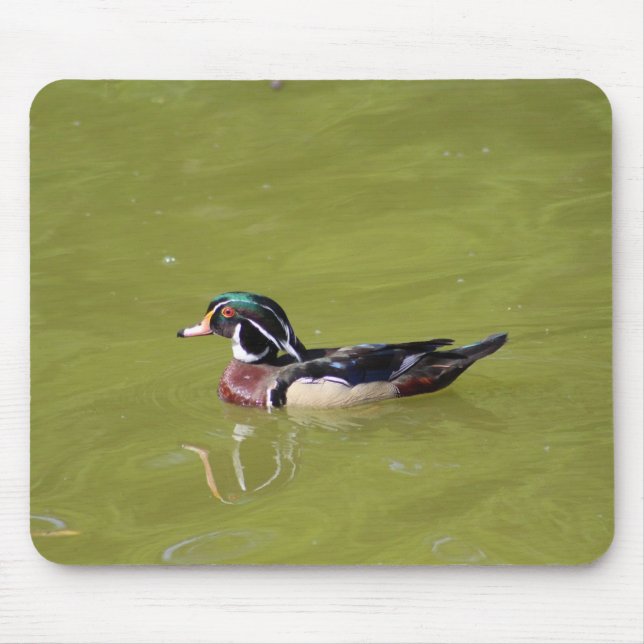 Tapis de souris à canard de bois (Devant)