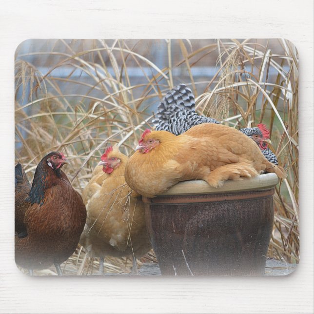 Tapis De Souris A Chicken Mouse Pad (Devant)