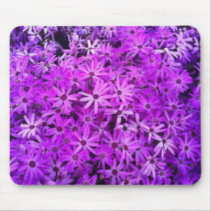 Tapis De Souris A field of Purple and Pink Daisies