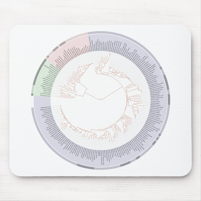 Tapis De Souris A phylogenetic tree of life Chart (Devant)