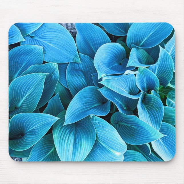 Tapis de souris à plante Hosta (Devant)
