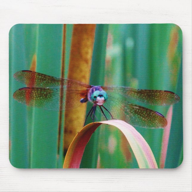 Tapis De Souris A teal Eyed Dragonfly with cattails (Devant)