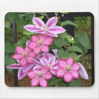 Tapis De Souris AA mousepad rose de fleur de clématite