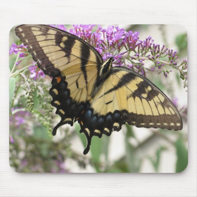 Tapis De Souris AA papillon jaune de machaon (Devant)