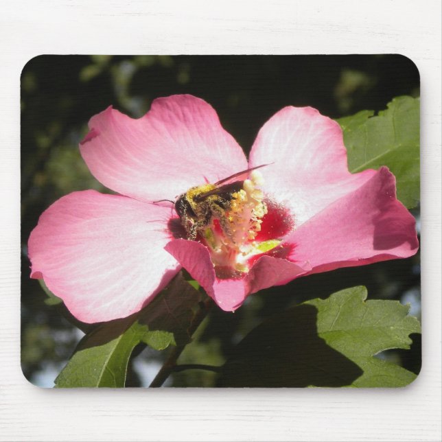 Tapis De Souris Abee sur un Rose de Sharon 2 mousepad (Devant)