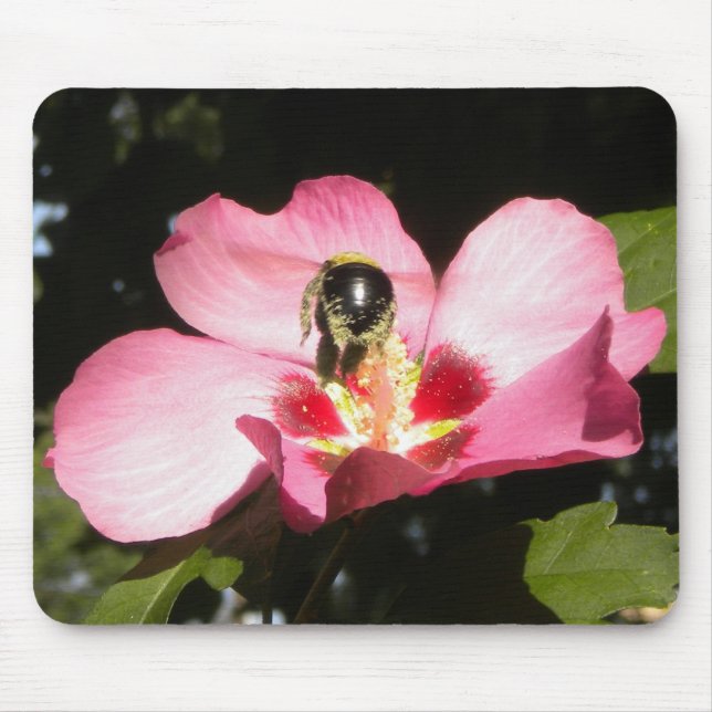 Tapis De Souris Abee sur un Rose de Sharon mousepad (Devant)