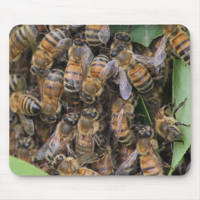 Tapis De Souris Abeille de miel (Devant)