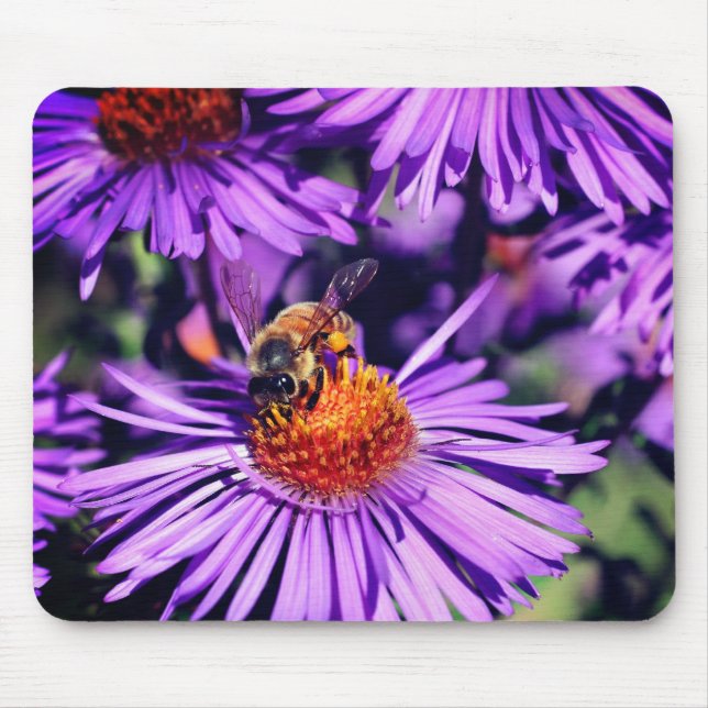 Tapis De Souris Abeille De Miel Sur Fleur D'Aster Violet (Devant)