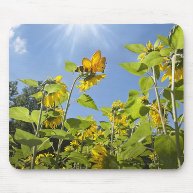 Tapis De Souris abeille d'extra large sur le tournesol (Devant)