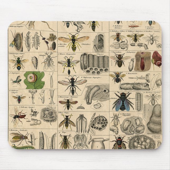 Tapis De Souris Abeille Insecte Bug Wasp Nature Peinture des abeil (Devant)