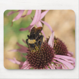 Tapis De Souris Abeille sur Black Eyed Susan Pano
