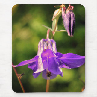 Tapis De Souris Abeille Sur Columbine