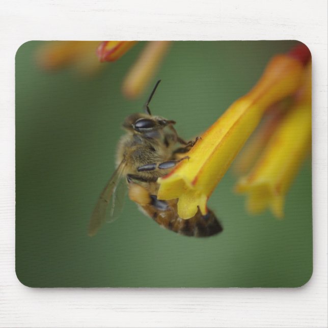 Tapis De Souris Abeille sur Firebush (Devant)