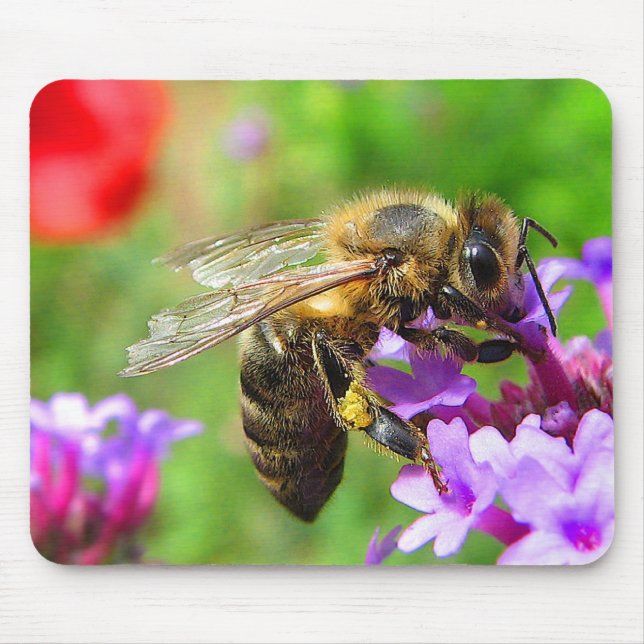 Tapis De Souris Abeille sur la verveine (Devant)