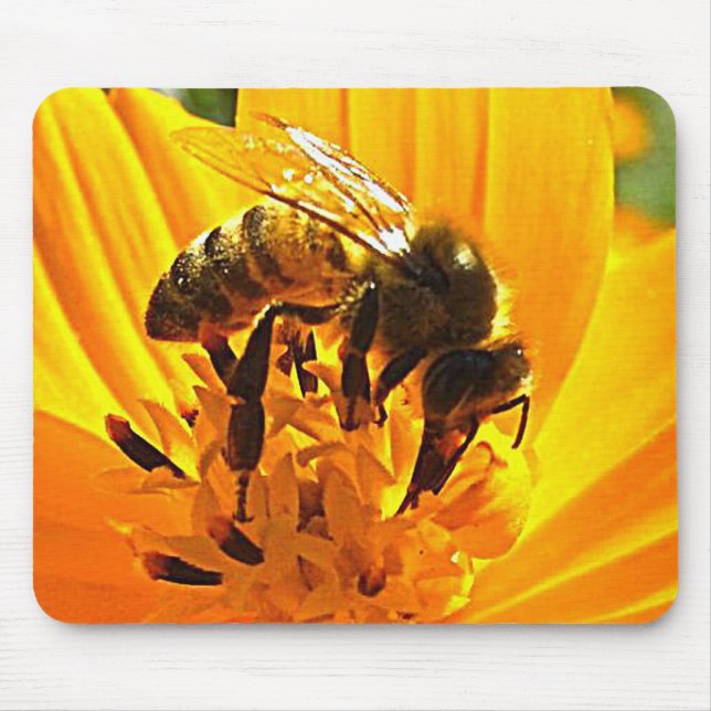 Tapis De Souris Abeille sur une fleur (Devant)