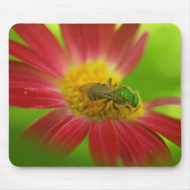 Tapis De Souris Abeille verte & Souris peinte (Devant)