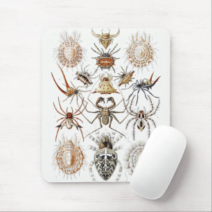 Tapis De Souris Académie Sombre Haeckel Vintage Araignée Symétrie