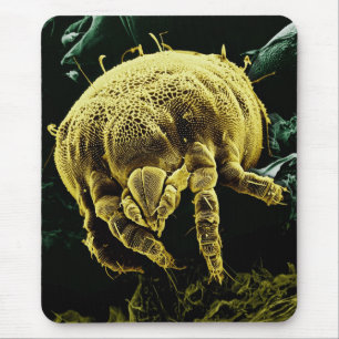 Tapis De Souris Acarides microscopiques Lorryia Formose d'Acari