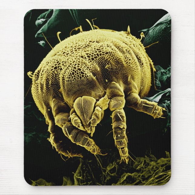 Tapis De Souris Acarides microscopiques Lorryia Formose d'Acari (Devant)