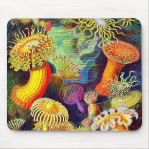Tapis De Souris Actinies d'Ernst Haeckel
