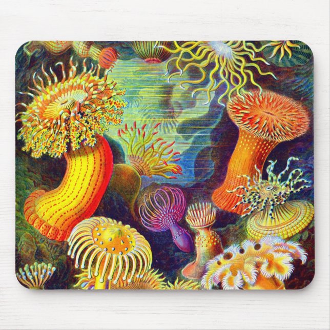 Tapis De Souris Actinies d'Ernst Haeckel (Devant)