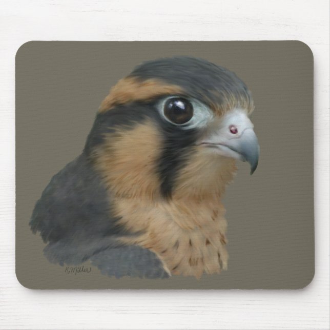 Tapis De Souris ADiplomado (Devant)