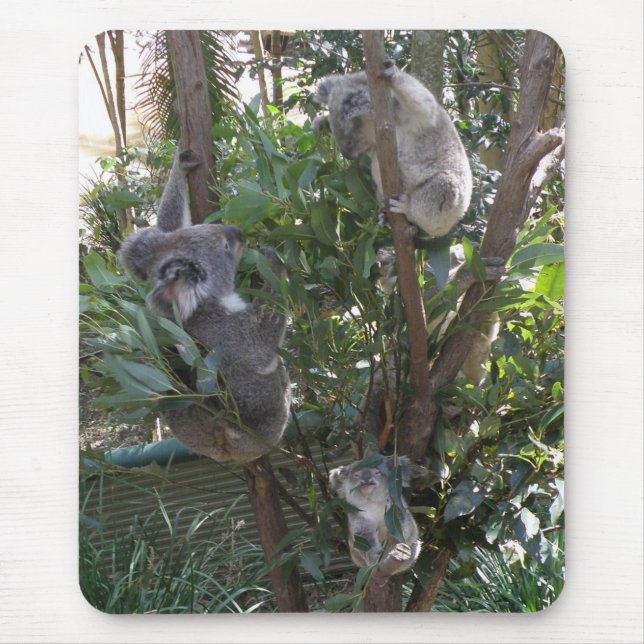 Tapis de souris Adoptez un koala Australie (Devant)