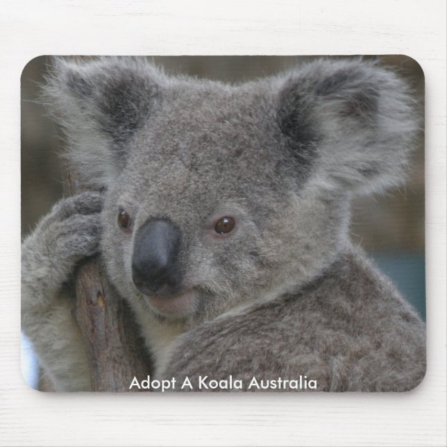Tapis de souris Adoptez un koala Australie (Devant)