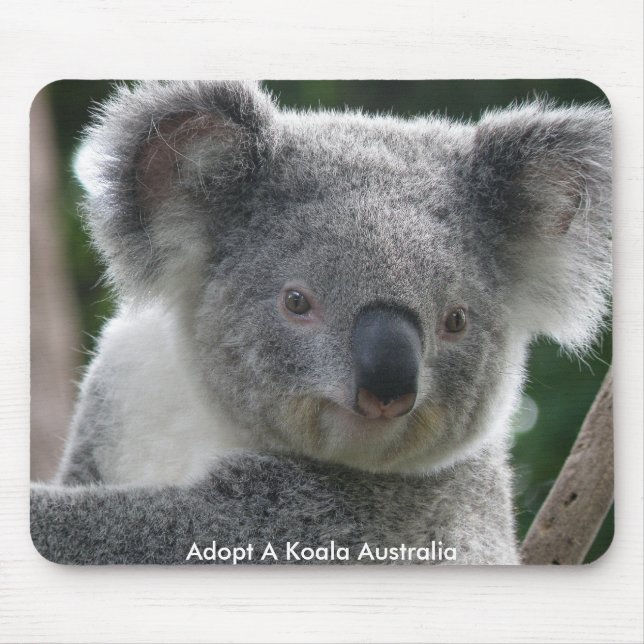 Tapis de souris Adoptez un koala Australie (Devant)