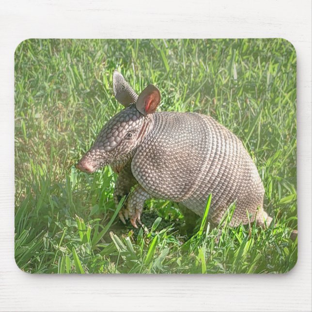 Tapis De Souris Adorable Baby Armadillo (Devant)