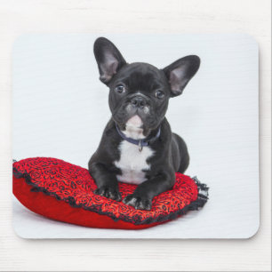 Tapis De Souris Adorable Black and White Bulldog Puppy Photo