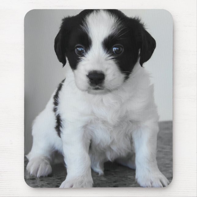 Tapis De Souris Adorable Black and White Puppy (Devant)