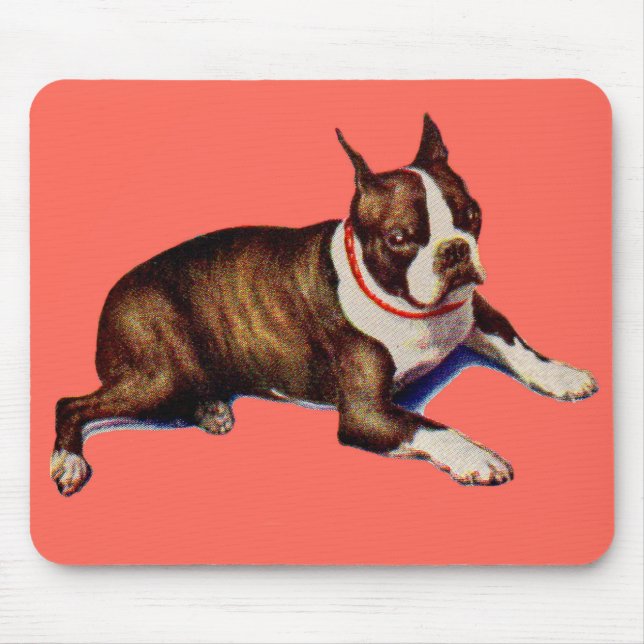 Tapis De Souris adorable Boston terrier (Devant)