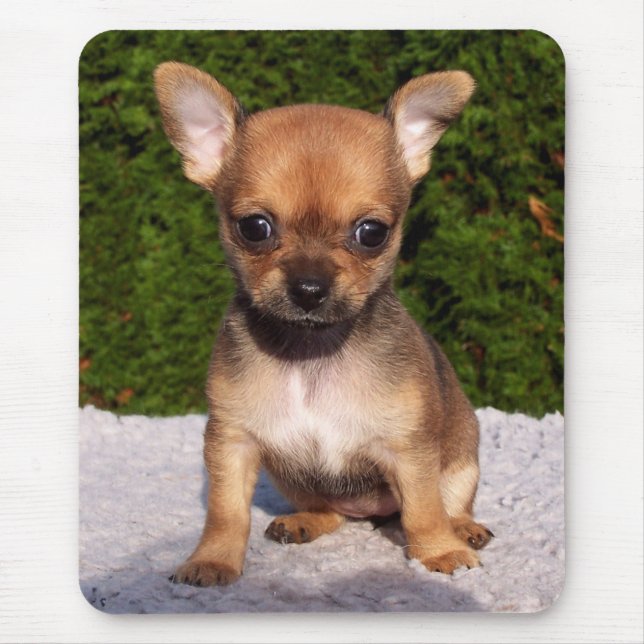 Tapis De Souris Adorable Chihuahua Chien Chiot (Devant)