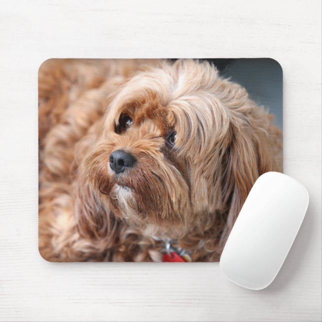 Tapis De Souris adorable chiot de chavoie sucrée (Avec souris)