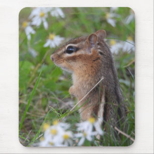 Tapis De Souris Adorable Chipmunk en fleurs