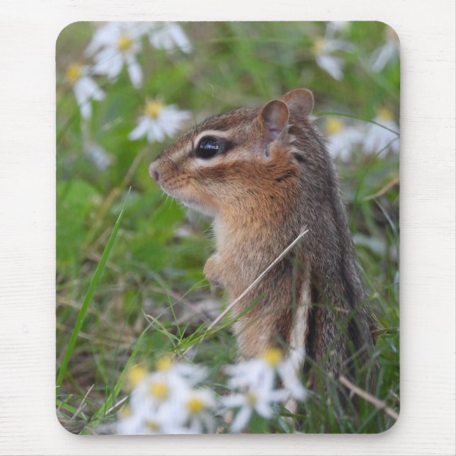 Tapis De Souris Adorable Chipmunk en fleurs (Devant)