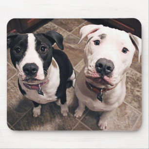 Tapis De Souris adorables chiots pitbull chiens