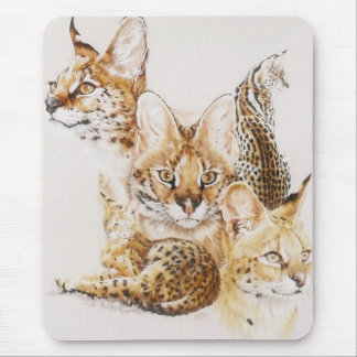 Tapis De Souris Adroit