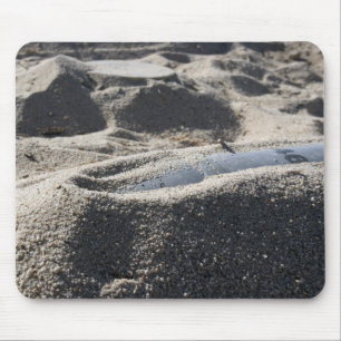 Tapis De Souris Affichage statique d'une coque de commande